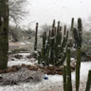 Meet your Posher, Lilian